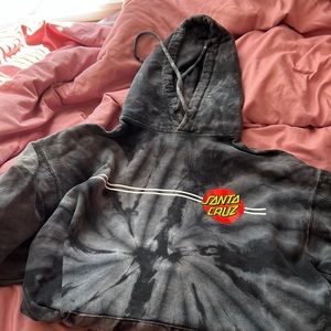 santa cruz skateboards